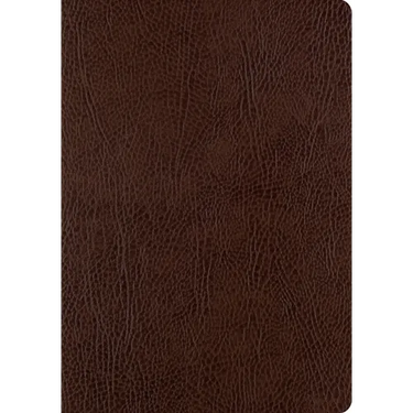ESV Single Column Journaling Bible, Large Print (Mocha)