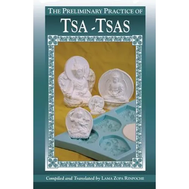 The Preliminary Practice of TSA-TSAS