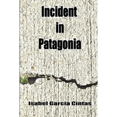 Incident in Patagonia