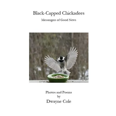 Black-Capped Chickadees