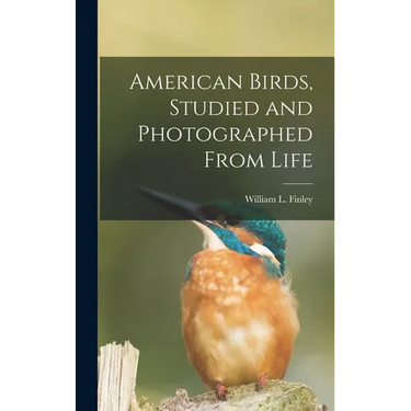 American Birds, Studied and Photographed From Life