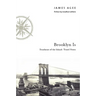 Brooklyn Is: Southeast of the Island: Travel Notes