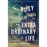 Busy Person's Guide to an Extraordinary Life