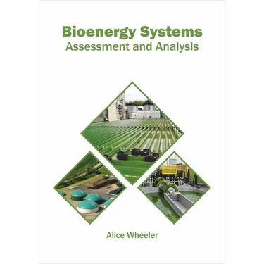 Bioenergy Systems: Assessment and Analysis