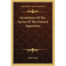 Symbolism Of The Apron Of The Entered Apprentice