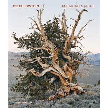 Mitch Epstein: American Nature
