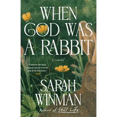 When God Was a Rabbit