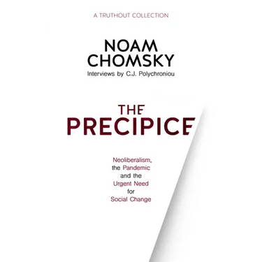 The Precipice: Neoliberalism, the Pandemic and the Urgent Need for Social Change