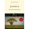 Joshua: The Power of God's Promise