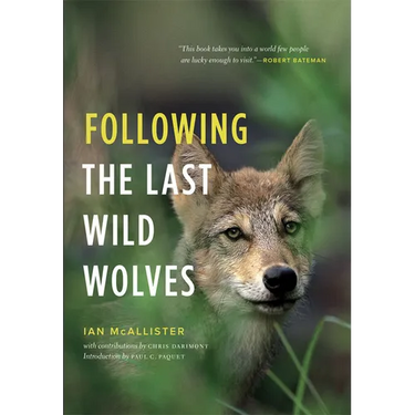 Following the Last Wild Wolves