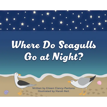 Where Do Seagulls Go at Night?