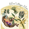 Nature's Magic Potion
