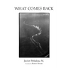 What Comes Back