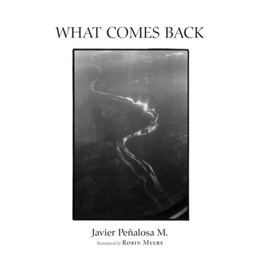 What Comes Back