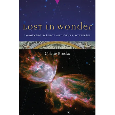 Lost in Wonder: Imagining Science and Other Mysteries