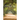 The Porch