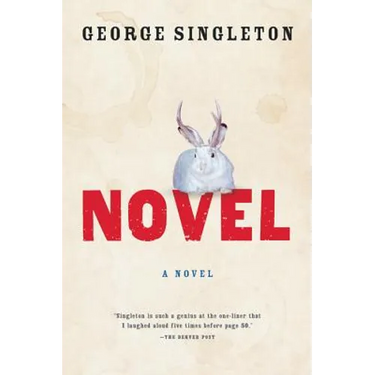 Novel