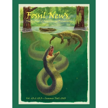 Fossil News: The Journal of Avocational Paleontology: Vol. 23.2/23.3-Summer/Fall 2020