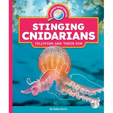 Stinging Cnidarians: Jellyfish and Their Kin
