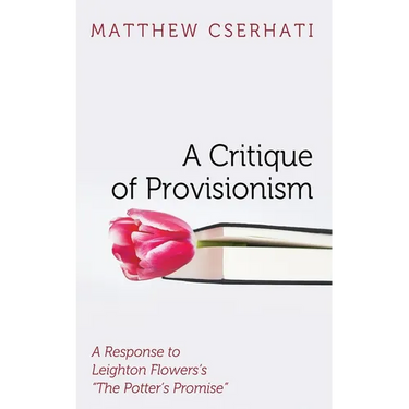 A Critique of Provisionism