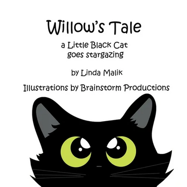 Willow's Tale: a Little Black Cat goes stargazing