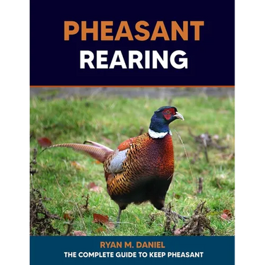 Pheasant Rearing: The Complete Guide to Keep Pheasant