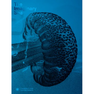 The Imaginary Sea