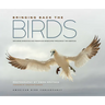 Bringing Back the Birds: Exploring Migration and Preserving Birdscapes Throughout the Americas