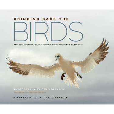Bringing Back the Birds: Exploring Migration and Preserving Birdscapes Throughout the Americas