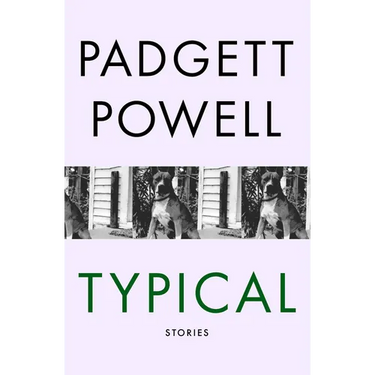 Typical: Stories
