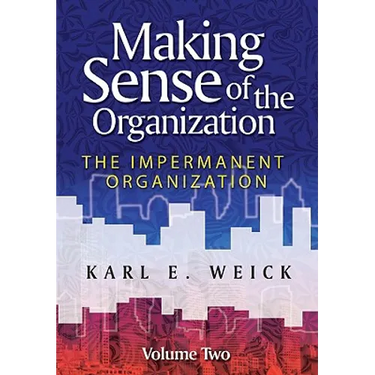 Making Sense of the Organization, Volume 2