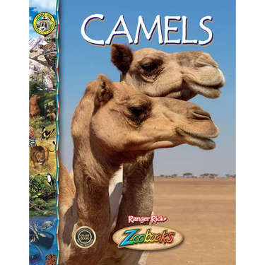 Camels