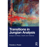 Transitions in Jungian Analysis: Essays on Illness, Death and Violence