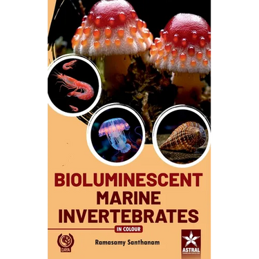 Bioluminescent Marine Invertebrates