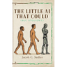 The Little AI That Could (but Shouldn't)