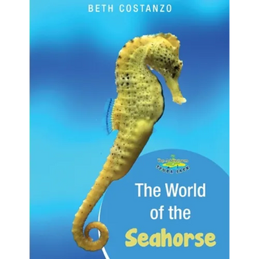 Seahorse Activity Workbook For Kids ages 4-8