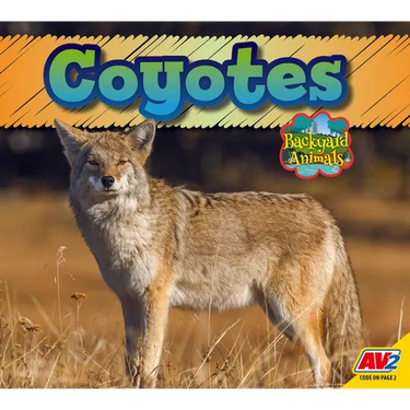 Coyote