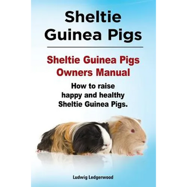 Sheltie Guinea Pigs. Sheltie Guinea Pigs Owners Manual. How to raise happy and healthy Sheltie Guinea Pigs.