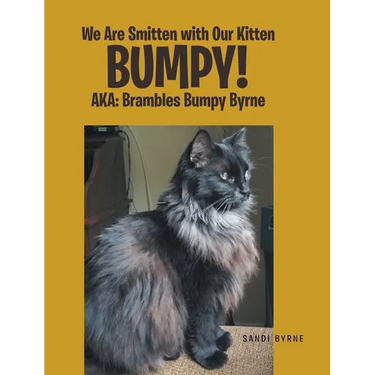 We Are Smitten with Our Kitten Bumpy!: AKA: Brambles Bumpy Byrne