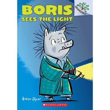 Boris Sees the Light: A Branches Book (Boris #4): Volume 4