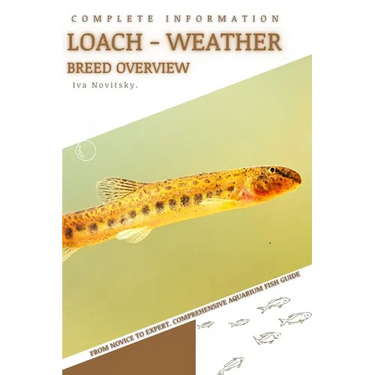 Loach - Weather: From Novice to Expert. Comprehensive Aquarium Fish Guide