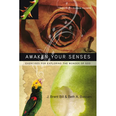 Awaken Your Senses: Exercises for Exploring the Wonder of God