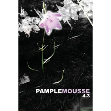 Pamplemousse 4.3
