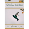 God's Grace Keeps Pace: Embracing Contentment in the Midst of Caregiving, Grief, and Loss