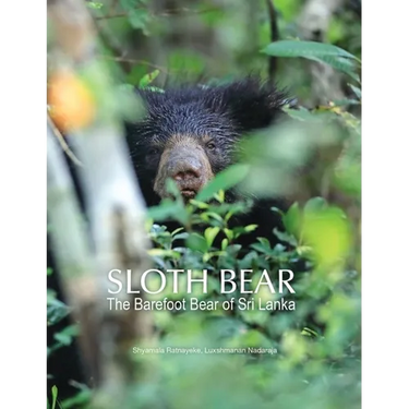Sloth Bear: The Barefoot Bear of Sri Lanka