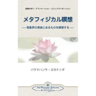 Metaphysical Meditations (Japanese)