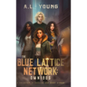 The Blue Lattice Network: Omnibus