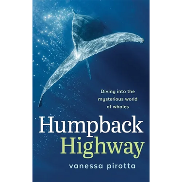 Humpback Highway: Diving into the mysterious world of whales