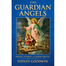 The Guardian Angels: Theology, Testimony, and Modern Miracles