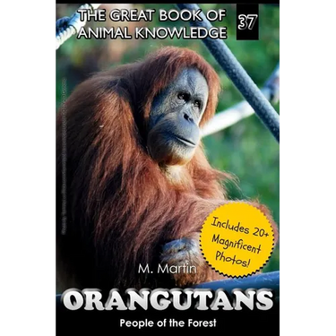 Orangutans: People of the Forest